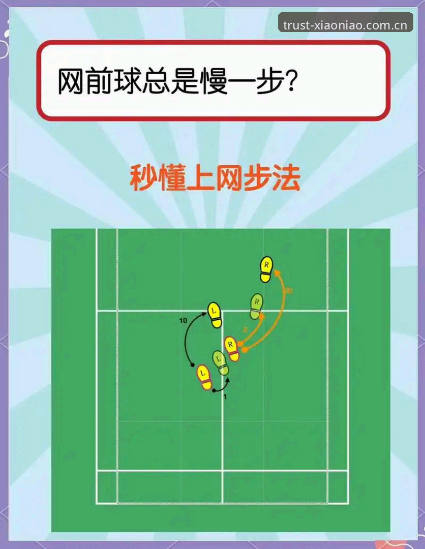 小鸟体育平台使用技巧详解：从入门到精通的全方位指南