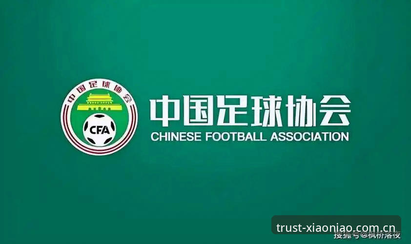 小鸟体育最新下载 中国足协第三批禁足名单全面解析:65人受罚背后的足球生态深度拷问